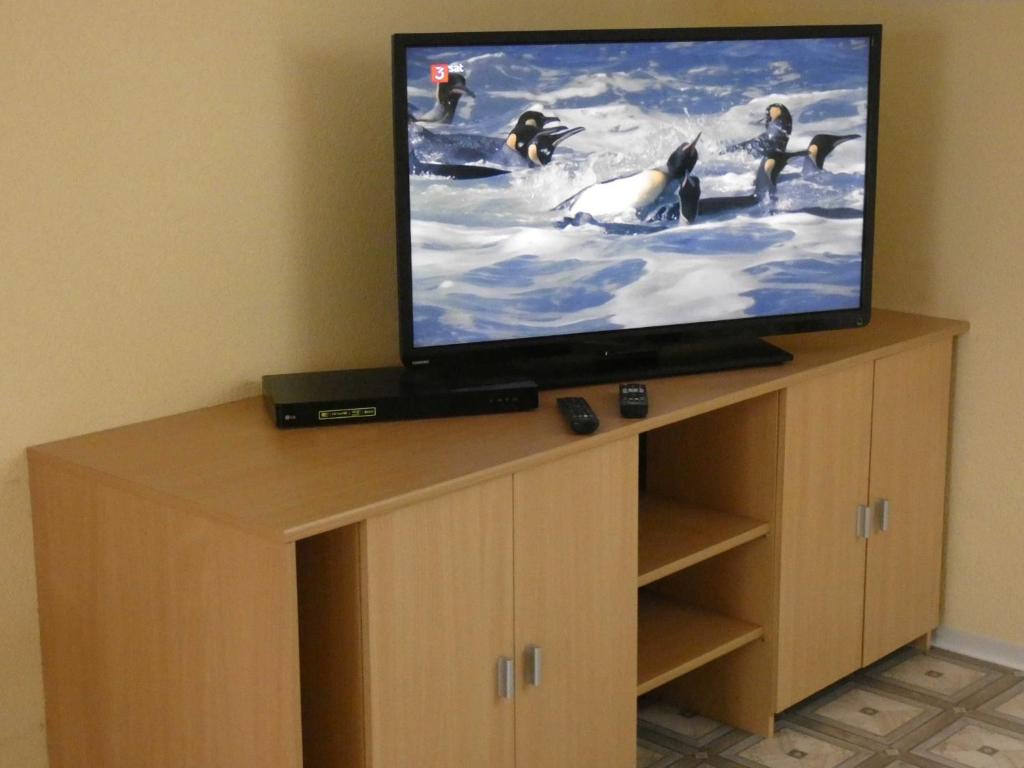 TV a/nebo společenská místnost v ubytování Goldener Fuchs in Moschendorf