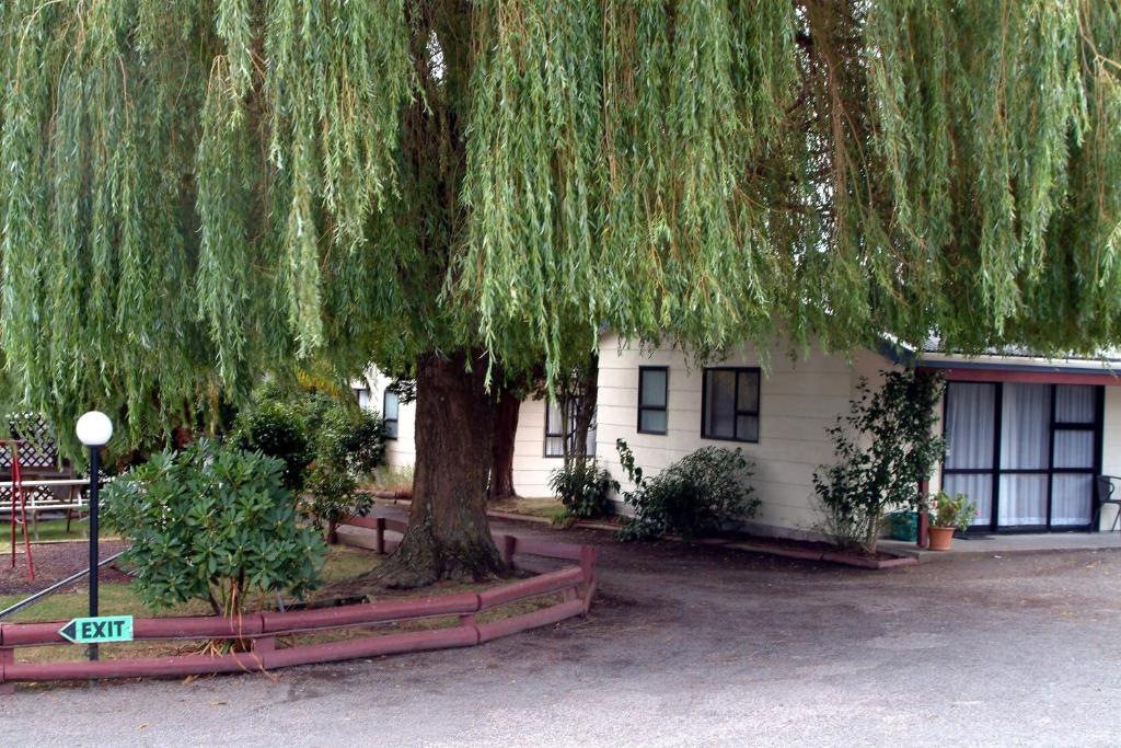 Zahrada ubytování Camellia Court Family Motel