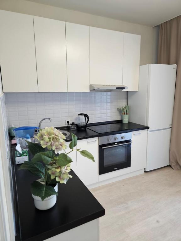 Kuchyň nebo kuchyňský kout v ubytování Family apartment's