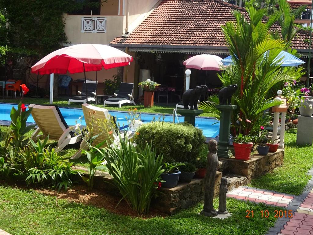 a backyard with a pool with chairs and a cat fountain at Hilda Guest House in Hikkaduwa