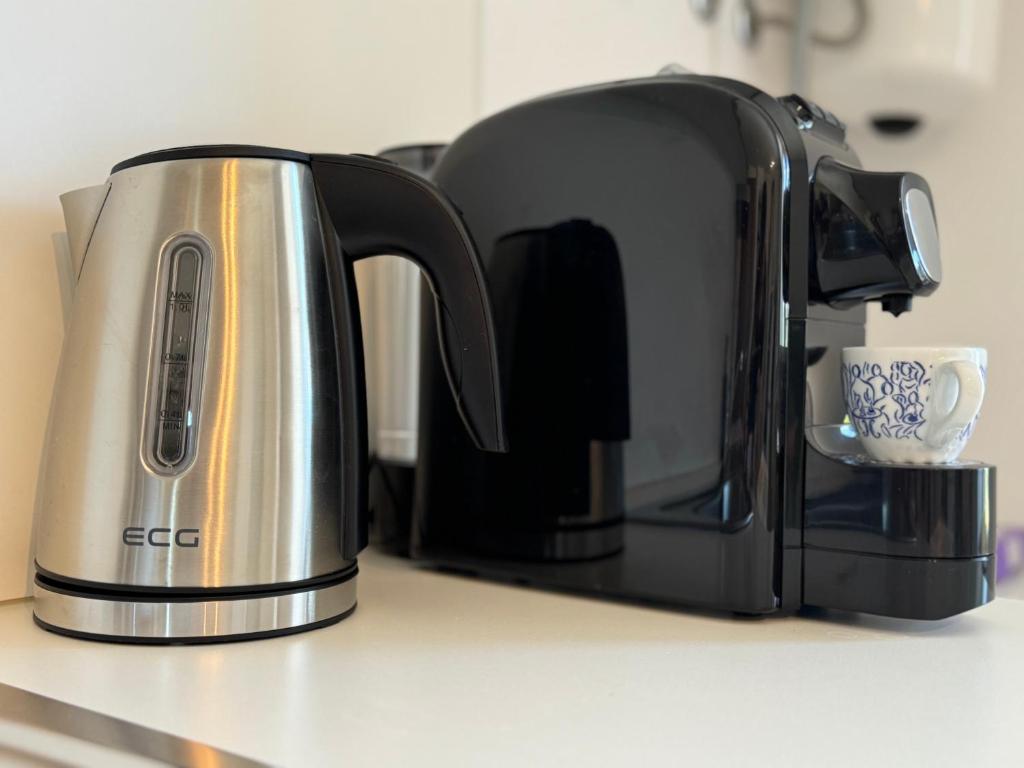 a toaster and coffee maker on a kitchen counter at Santomas apartments in Šmarje