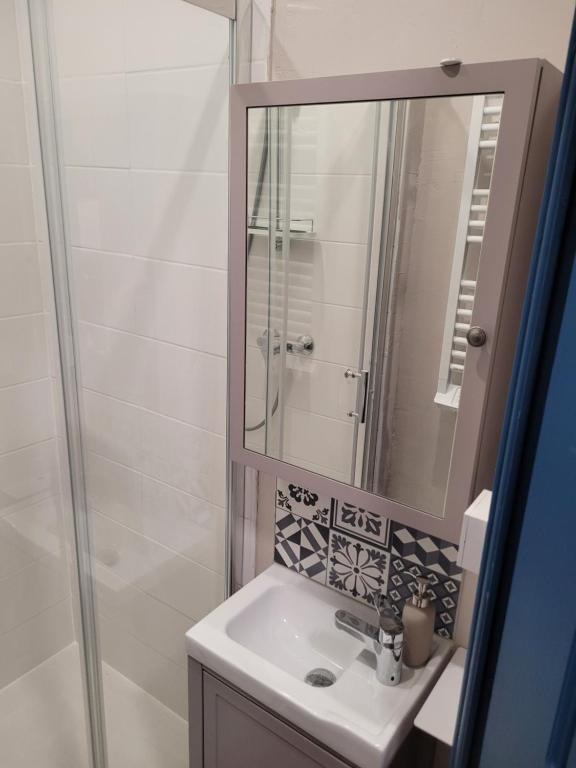 アルマンティエールにあるLa Léonce, superbe appartement plein centreの洗面台と鏡のあるバスルーム