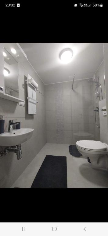 Koupelna v ubytování Studio apartman Delight Vrnjačka banja
