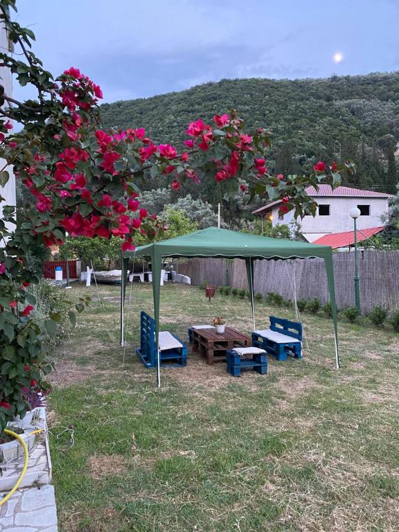 Príroda v okolí apartmánového hotela