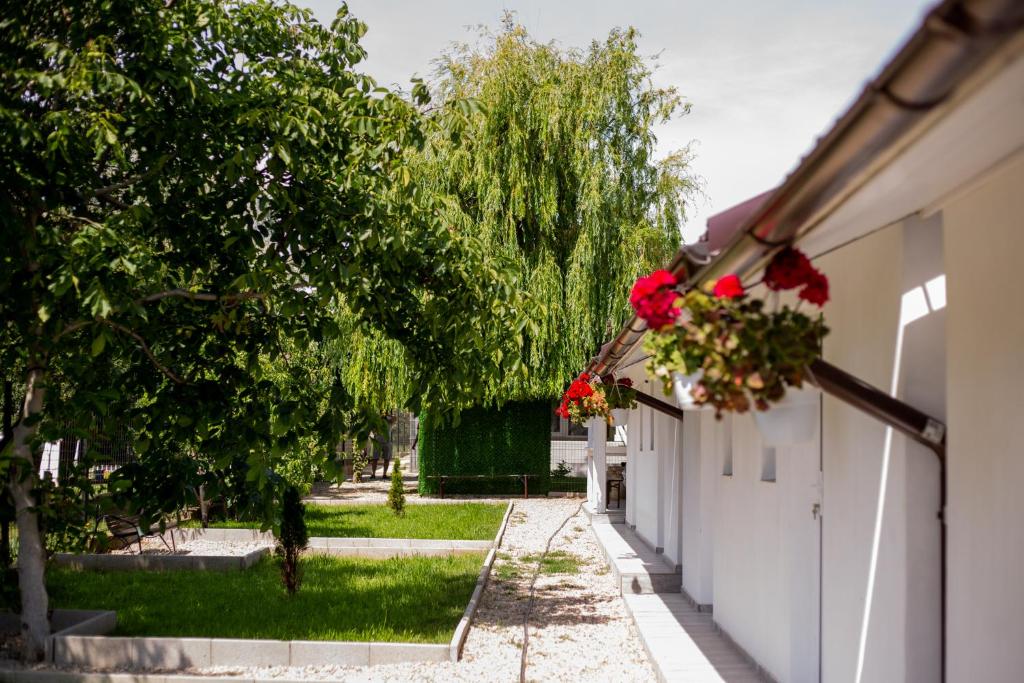 Κήπος έξω από το Mafmaf Tiny Houses