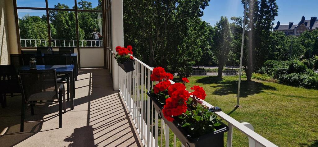 Zahrada ubytování Hotel New Bed
