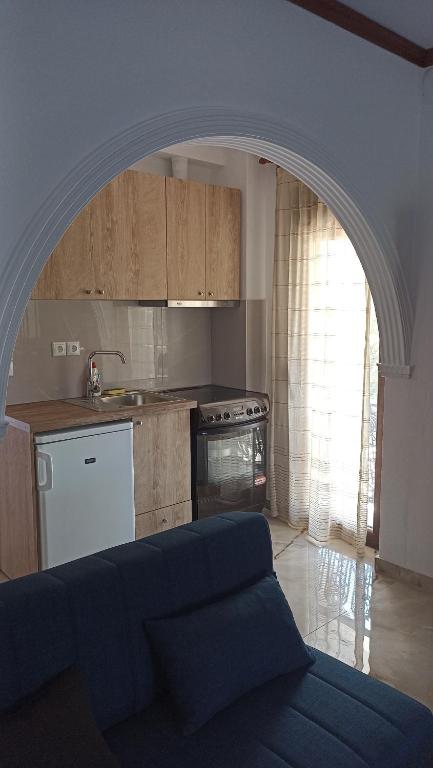 Kuchyň nebo kuchyňský kout v ubytování Villa Karapataki