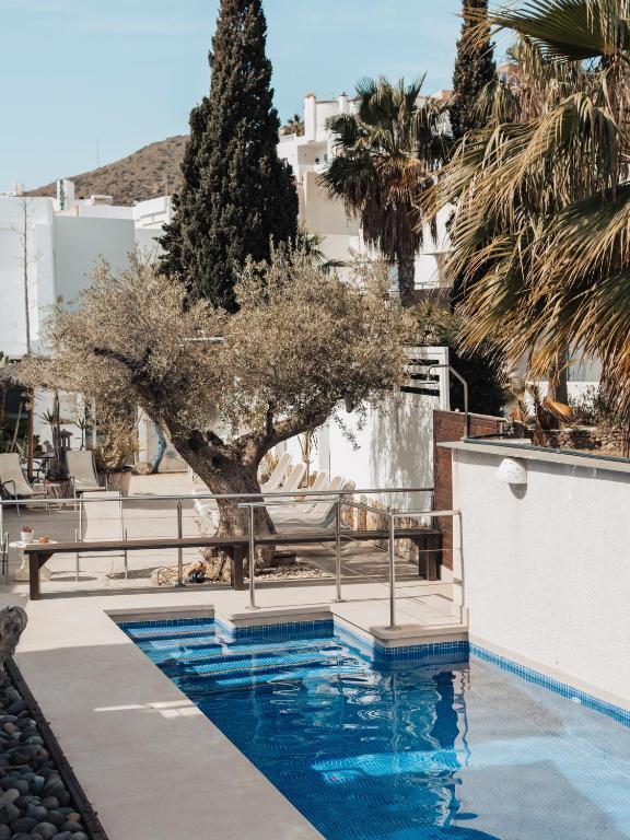 a swimming pool with a tree in the background at Hotel MC San José in San José