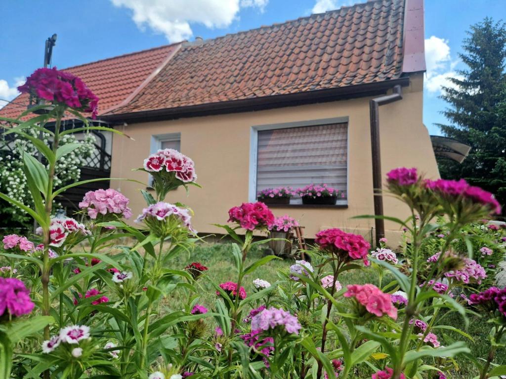 Fotografie z fotogalerie ubytování Domek Pattie v destinaci Giżycko