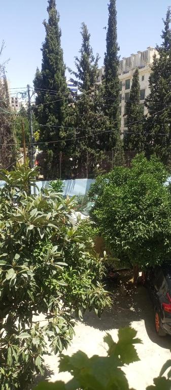 Zahrada ubytování حنضلةHandala Guest House