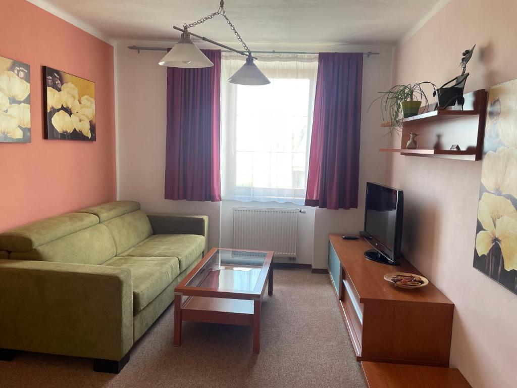 TV a/nebo společenská místnost v ubytování Hotel Ostrov Garni