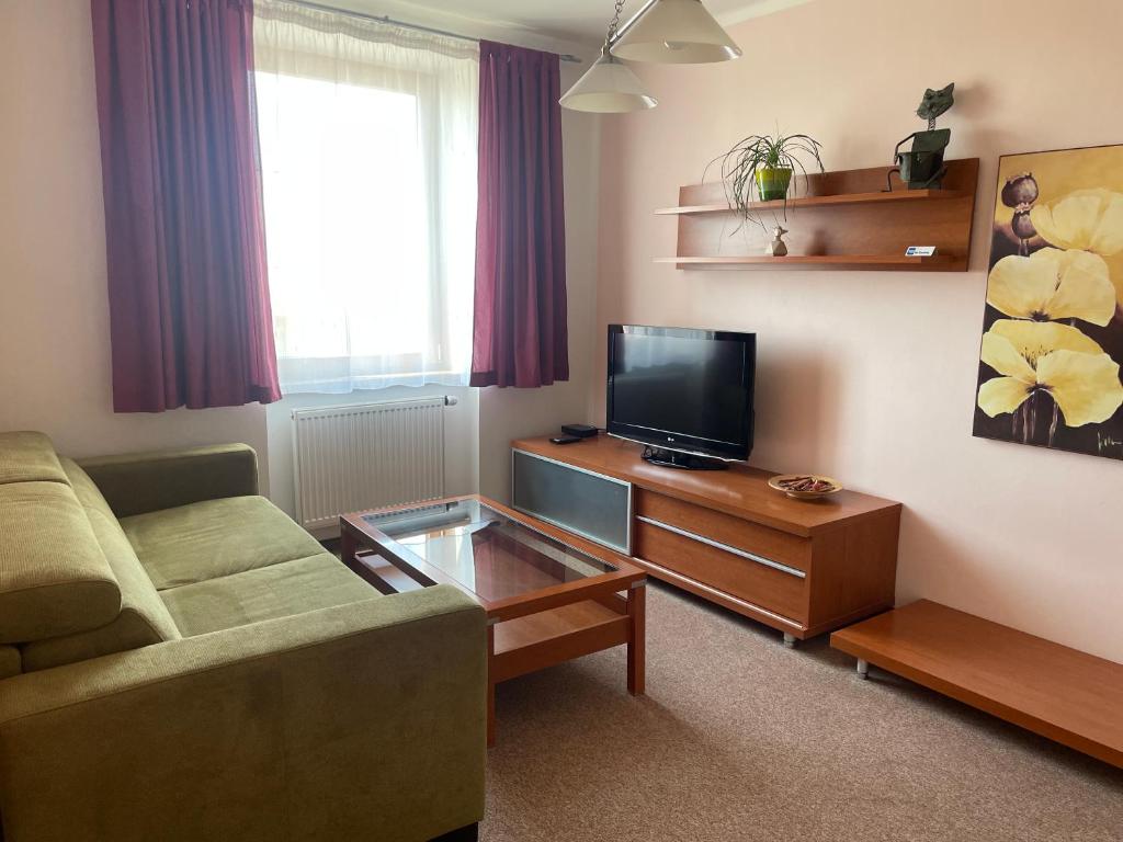 TV a/nebo společenská místnost v ubytování Hotel Ostrov Garni