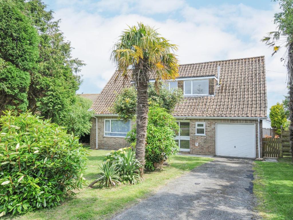 a palm tree in front of a house at Sea Drift in St Austell