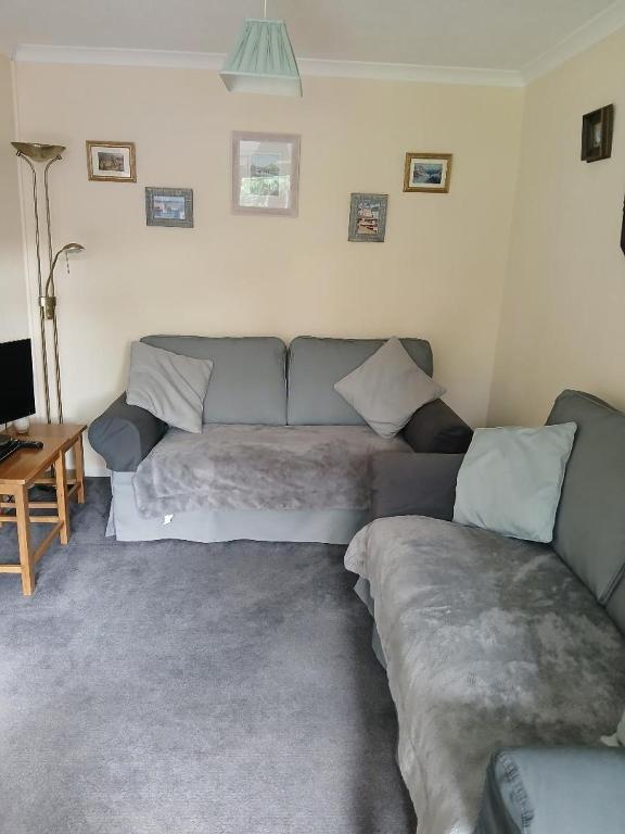 a living room with a couch and a tv at Tolpedn Cottage in Gulval