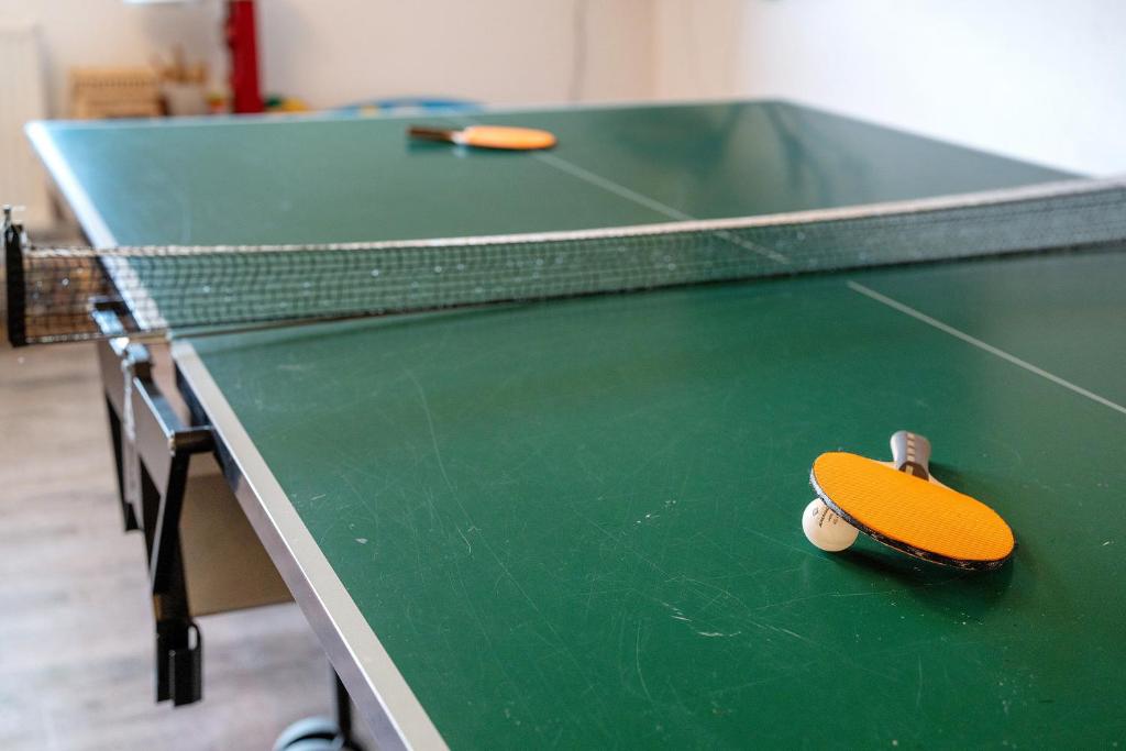 Stolní tenis v ubytování Danielenhof nebo okolí