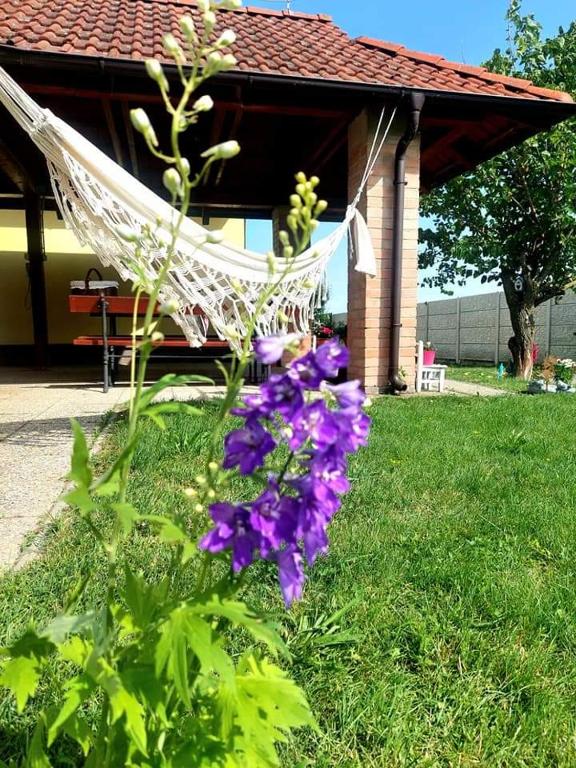 Zahrada ubytování Idylický rodinný penzión Arkádia pri Dunajskej cyklotrase