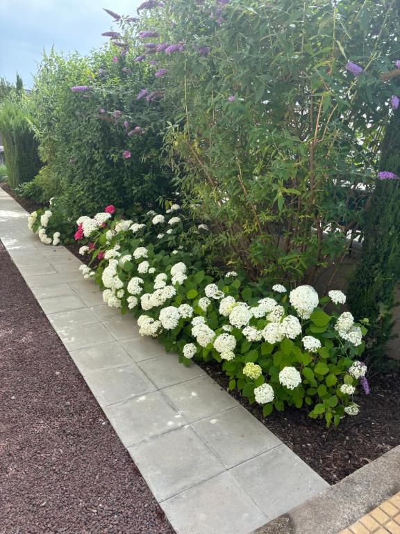 Appartement de Prestige au centre climatisé avec jardin privé – photo 22
