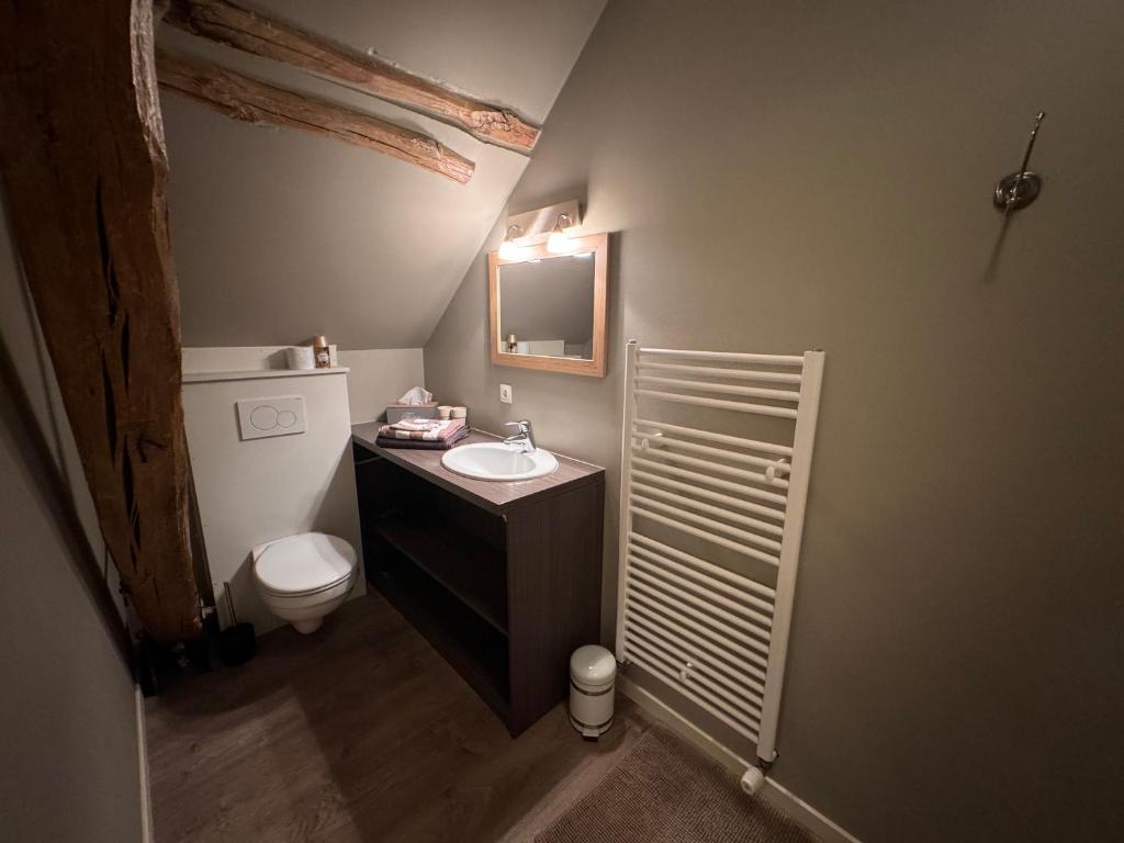 un bagno con un water, un lavandino e uno specchio di B&B De Vreehoeve a Merksplas