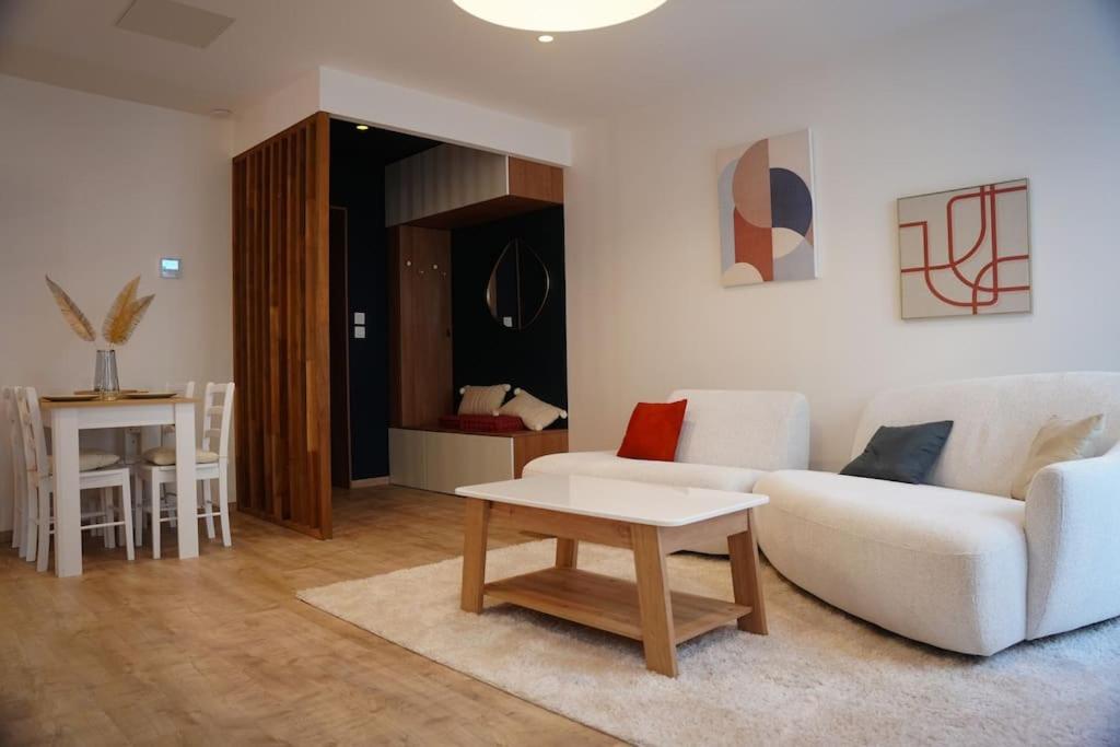 un salon avec un canapé blanc et une table dans l'établissement Bel appartement centre-ville, à Saint-Étienne