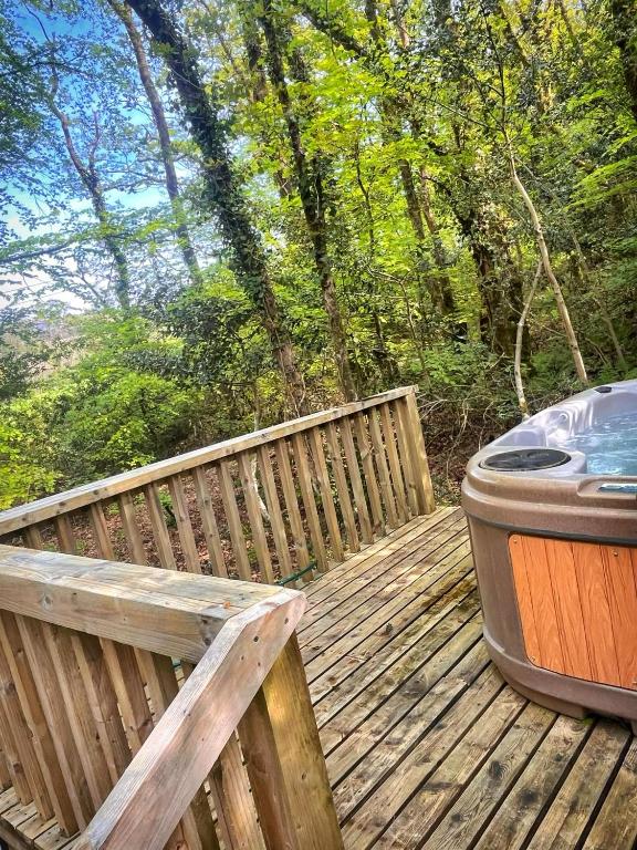 Fotografie z fotogalerie ubytování Woodland View -Hot Tub-Tenby-Carmarthen-St Clears v destinaci St Clears