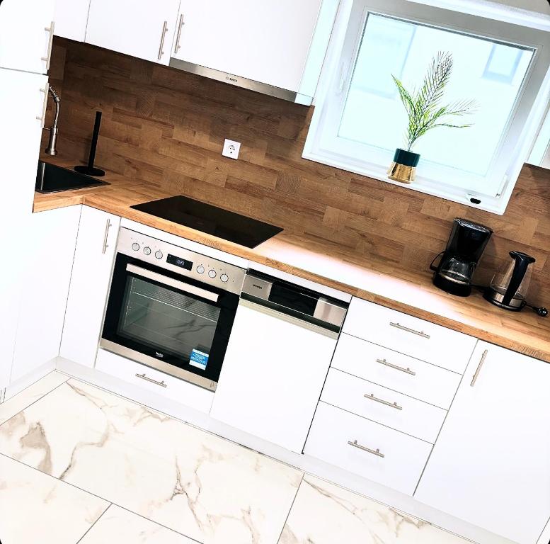 Kuchyňa alebo kuchynka v ubytovaní Deluxe Apartment Zadar