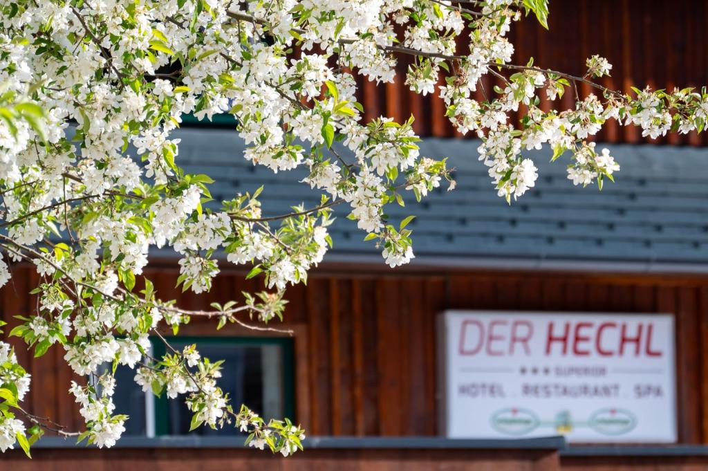 Fotografie z fotogalerie ubytování Der Hechl v destinaci Tauplitz