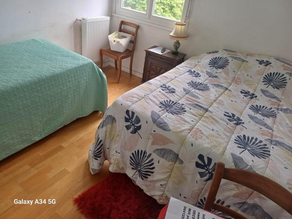 Adult Guide in Beauvais