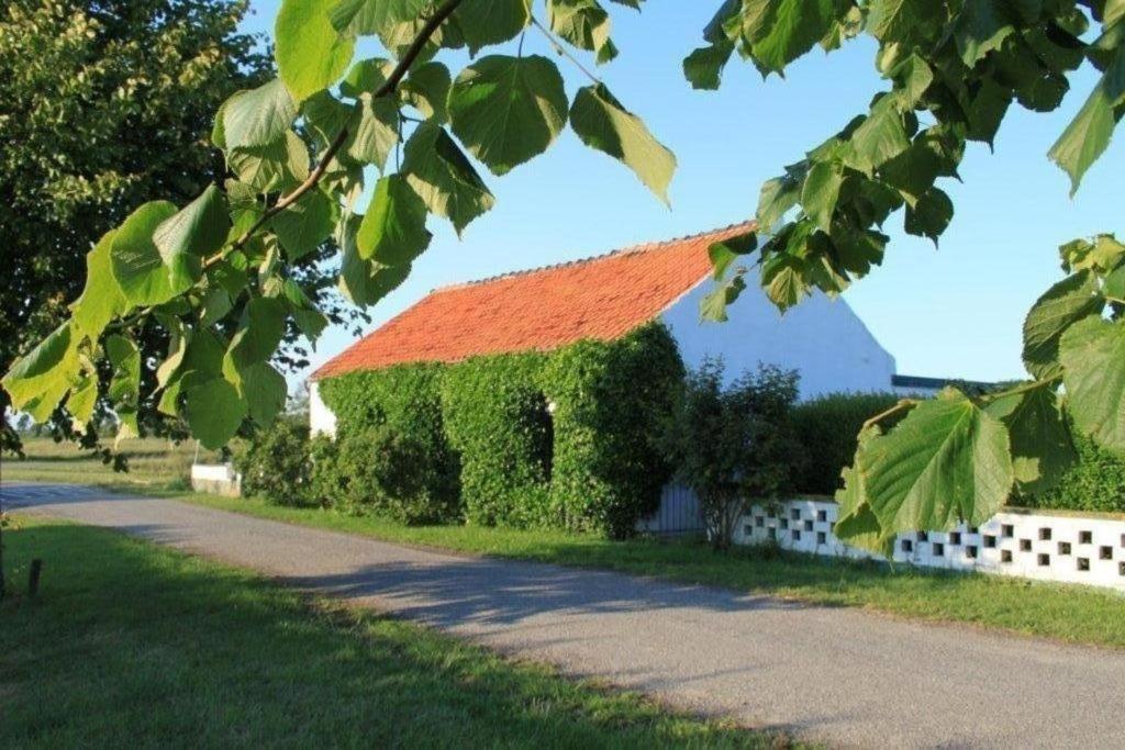 a building with an orange roof next to a road at Altes Deichbauernhaus mit Scheune, Garten und zwei Etagen in Nieuwvliet