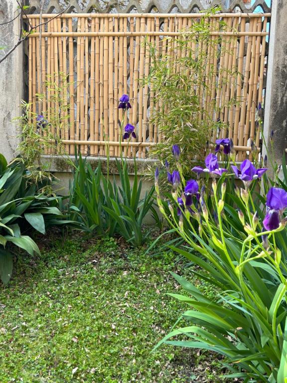 Carbonaia Venezia - 10