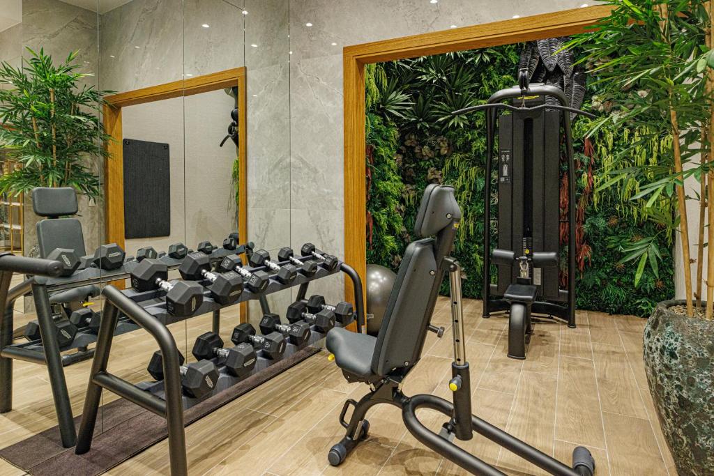 Palestra o centro fitness di Hotel Balkan