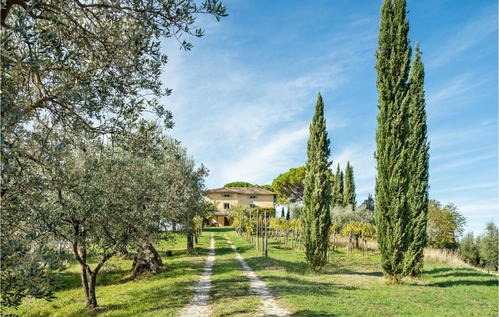 A garden outside Soratte