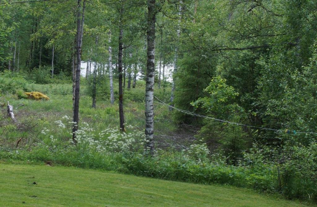 Gemütliches Holzhaus mit Boot - Holiday Home