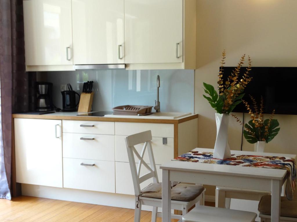 Kuchyňa alebo kuchynka v ubytovaní Apartamenty Miku