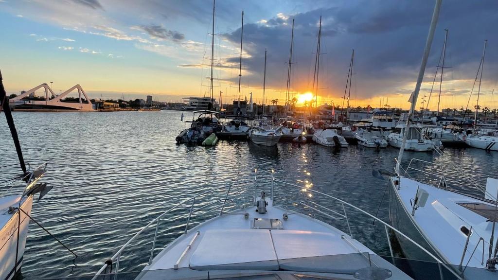 a group of boats docked in a harbor at sunset at Barco Apartamento Playa Valencia in Valencia
