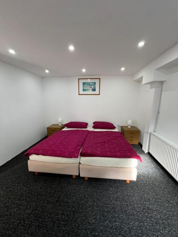 a bedroom with a large bed with red pillows at Zimmer in geteilter Ferienwohnung in Bremerhaven