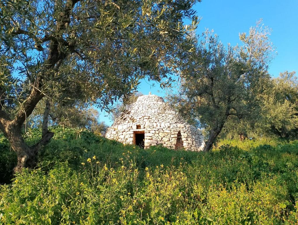 Příroda nedaleko luxury tent