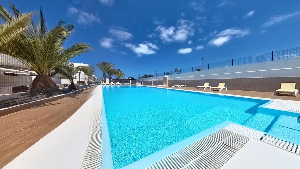 einen Pool mit blauem Wasser und Palmen in der Unterkunft DUNASOL Home, by Comfortable Luxury in Corralejo
