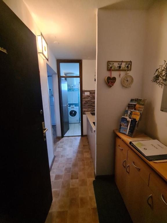 Kuchyň nebo kuchyňský kout v ubytování Apartman Daly