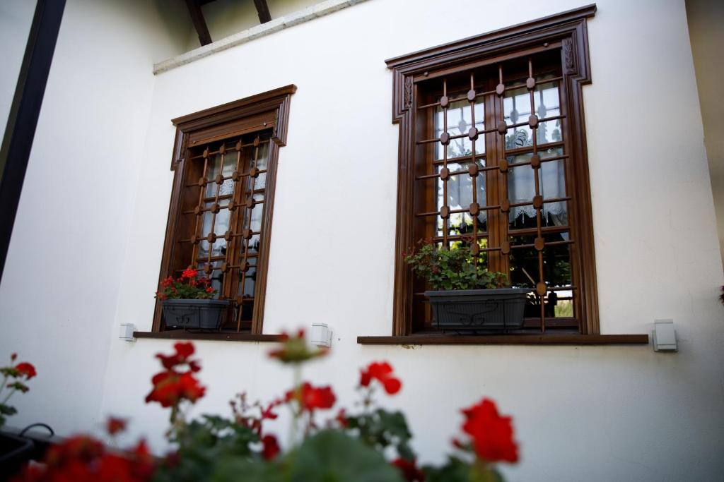 Zahrada ubytování Boutique Hotel Musée