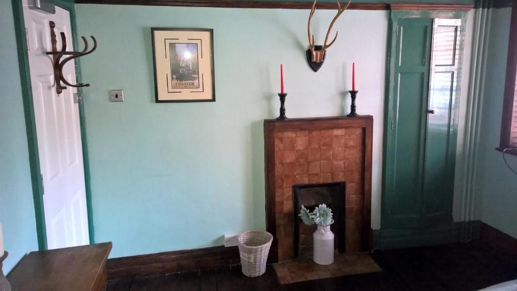 Golden Eagle - Resim 33