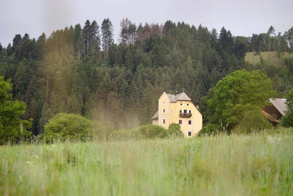 Příroda nedaleko apartmánu