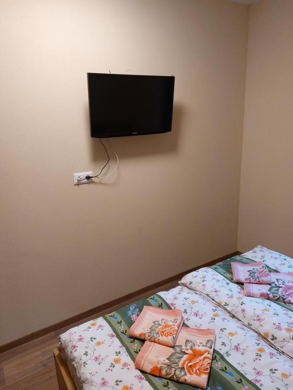 TV a/nebo společenská místnost v ubytování Apartmán Kurko1