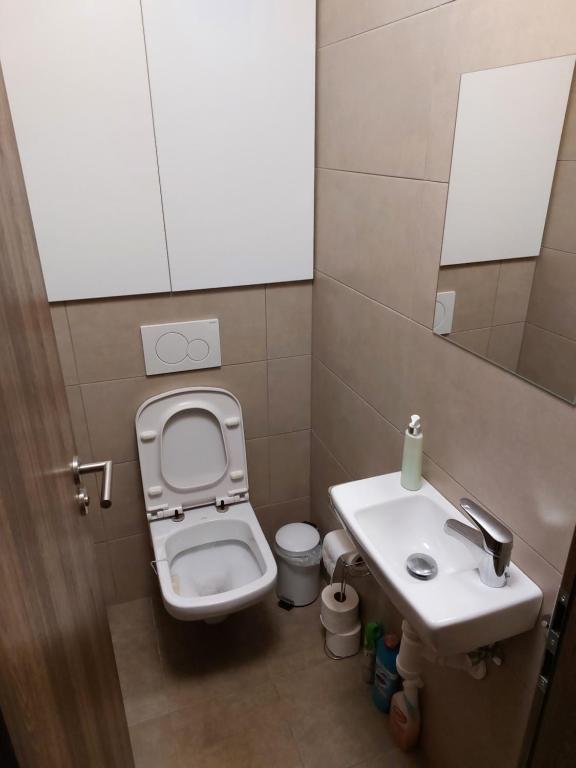 Koupelna v ubytování Apartmán Kurko1