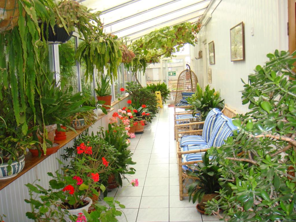 a greenhouse filled with lots of potted plants at Diamond House in Rugby