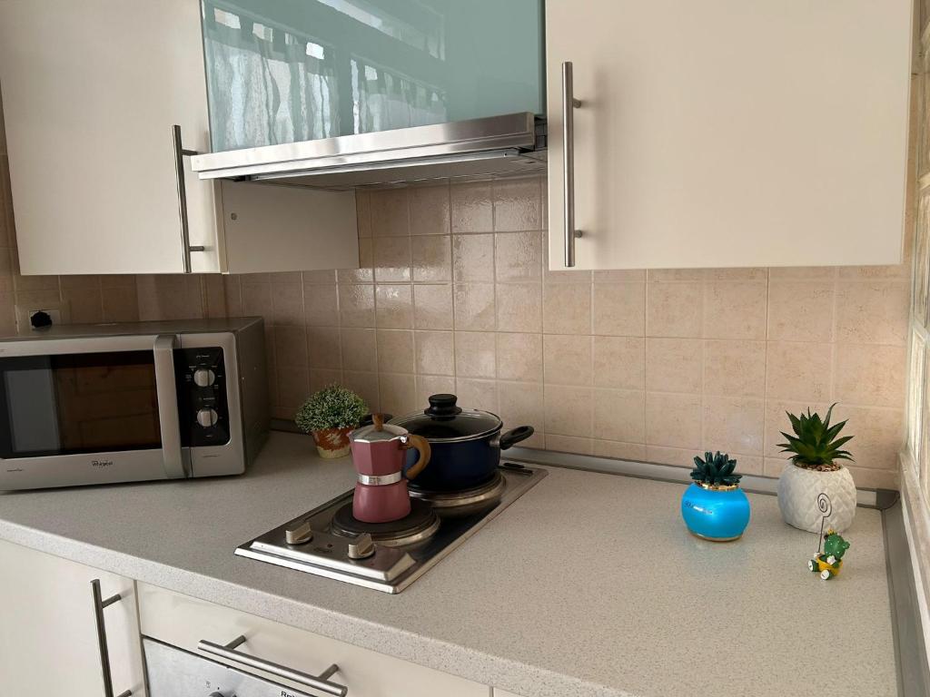 encimera de cocina con fogones y microondas en Appartamento centralissimo zona terme, en Margherita di Savoia
