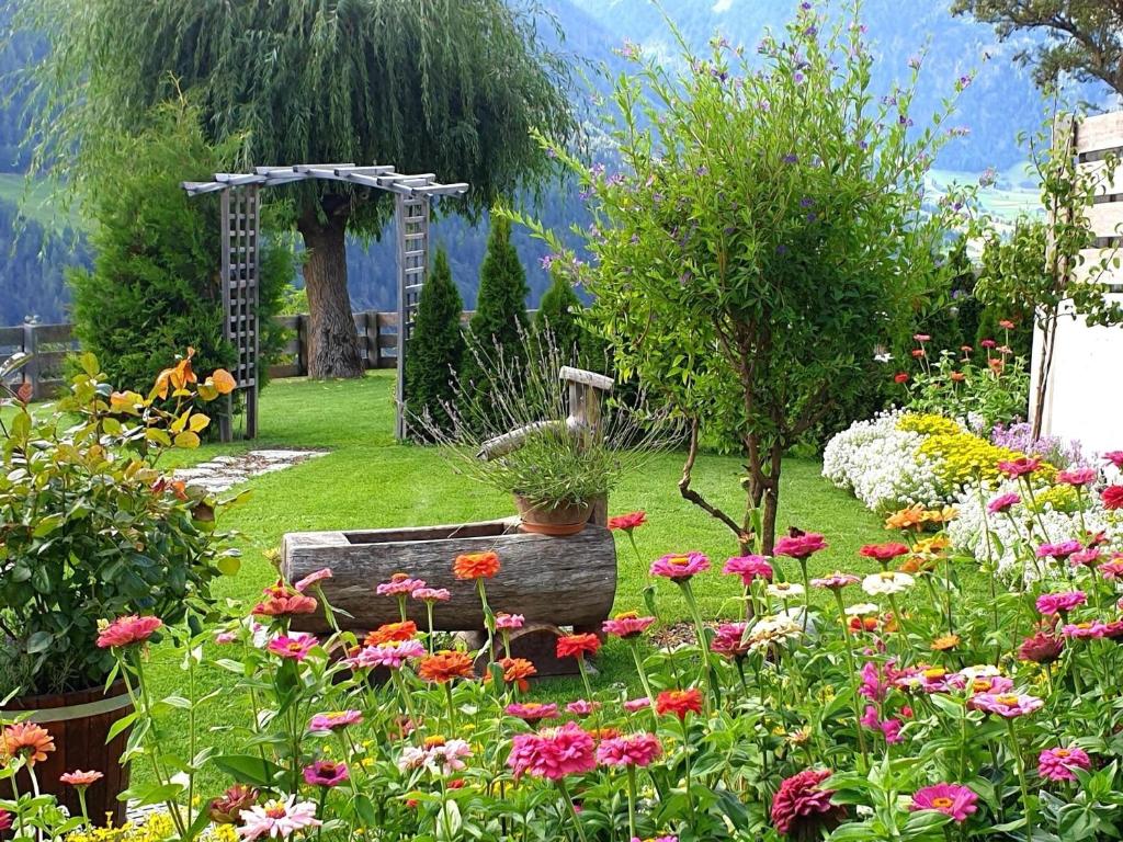 东蒂罗尔地区马特赖Ferienwohnung in der ersten Etage mit maßgefertigter Möblierung的院子里种着一束鲜花的花园