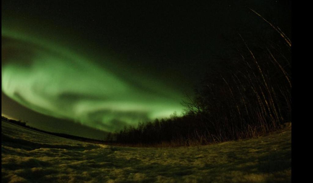 an aurora in the sky over a snowy field at row house for 6 people in Kemi