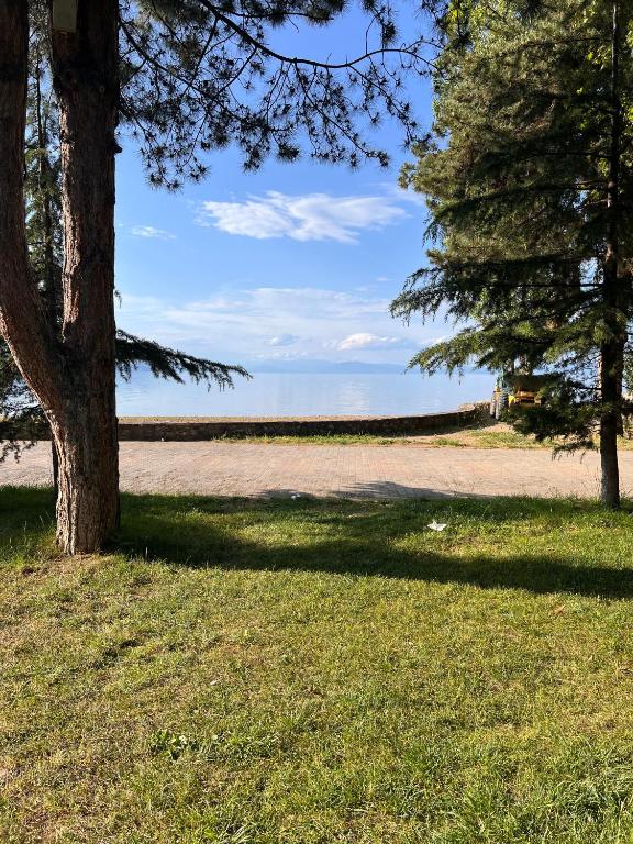 Hamit Hoxha - Pogradec Near Ohrid Lake - Appartement Met één Slaapkamer