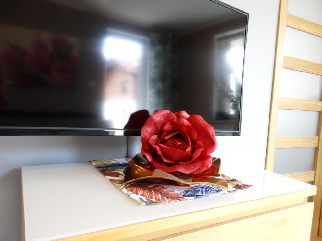 Televízia a/alebo spoločenská miestnosť v ubytovaní Apartamenty Miku