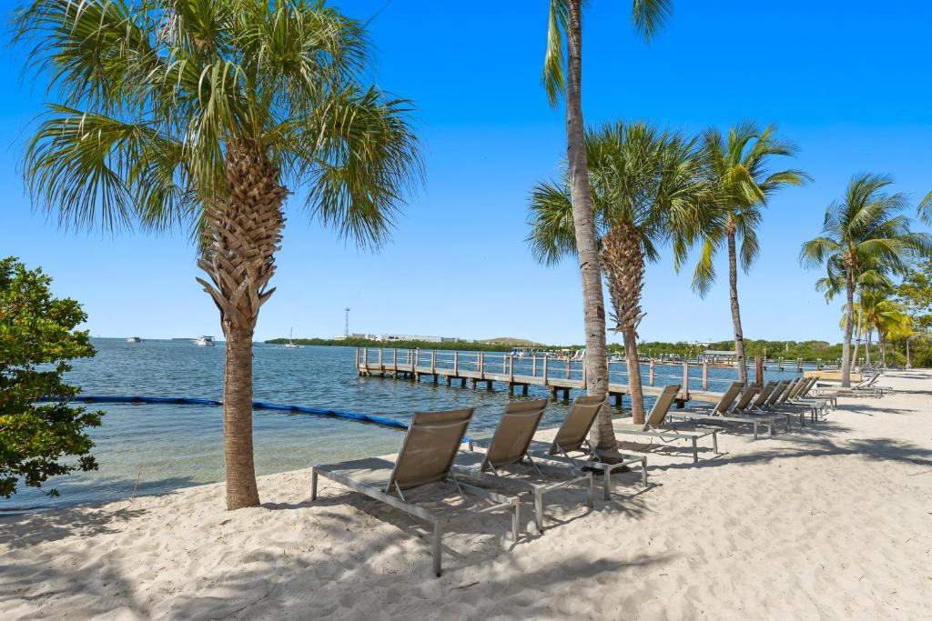 eine Reihe von Stühlen am Strand mit Palmen in der Unterkunft Beachside Resort &amp; Residences in Key West